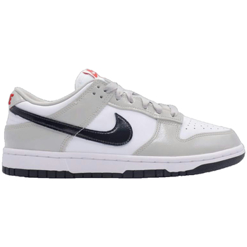Nike Sneaker Dunk Light Iron Ore
