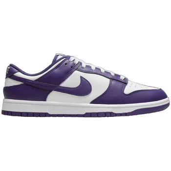 Nike Sneaker Dunk Court 2022