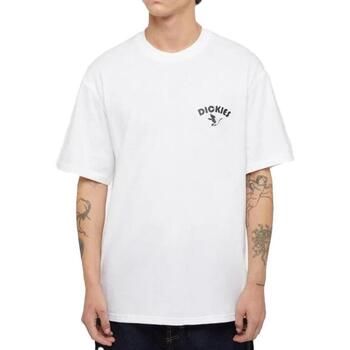 Dickies T-Shirts & Poloshirts Goose