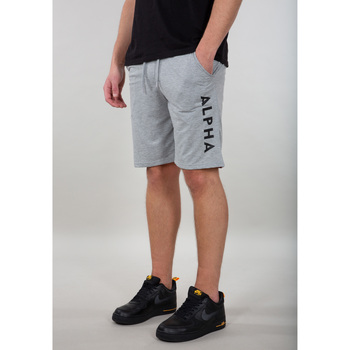 Alpha Industries Shorts Alpha Jersey Short - grey heather