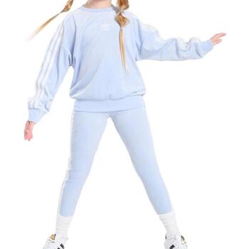 adidas Jogginganzüge IS1451