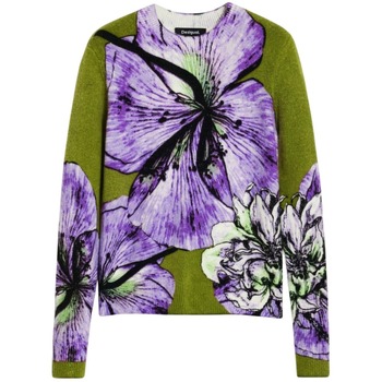 Desigual  Pullover JERS_ORQUIDEA_LACROIX 25WWJF42