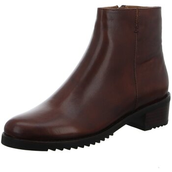 Everybody  Stiefeletten Stiefeletten Belport 11654U3254-371