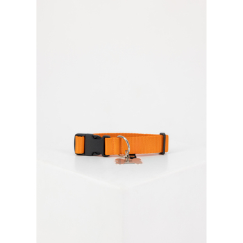 Alpha Industries  Herrenschuhe Basic Dog-Tag Collar - Alpha orange