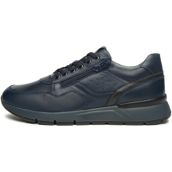 NeroGiardini  Sneaker Sauvage Sauvage Dark Grey Pu.Bidens.Poggio B16