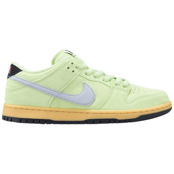Nike Sneaker SB Dunk Low Verdugo Mountain