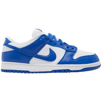 Nike Sneaker Dunk Low SP Kentucky
