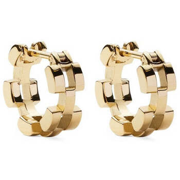 Daniel Wellington  Ohrringe Orecchini