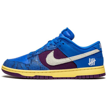 Nike Sneaker Dunk Low Undefeated 5 On It