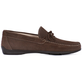 IgI&CO Herrenschuhe SCAMOSCIATO TORTORA