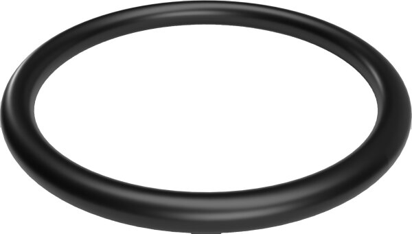 Avenli Ersatzteil 290658 O-Dichtungsring Ø 2,8 x 0,23 cm für Spa / Whirlpool