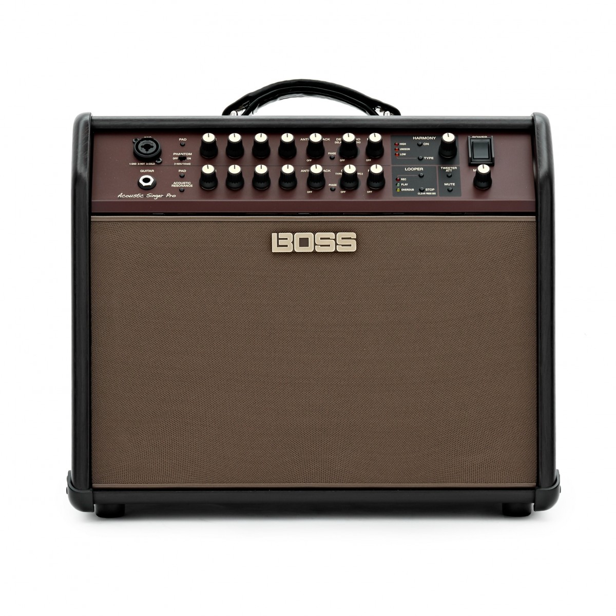 Boss Acoustic Singer Pro-Verstärker