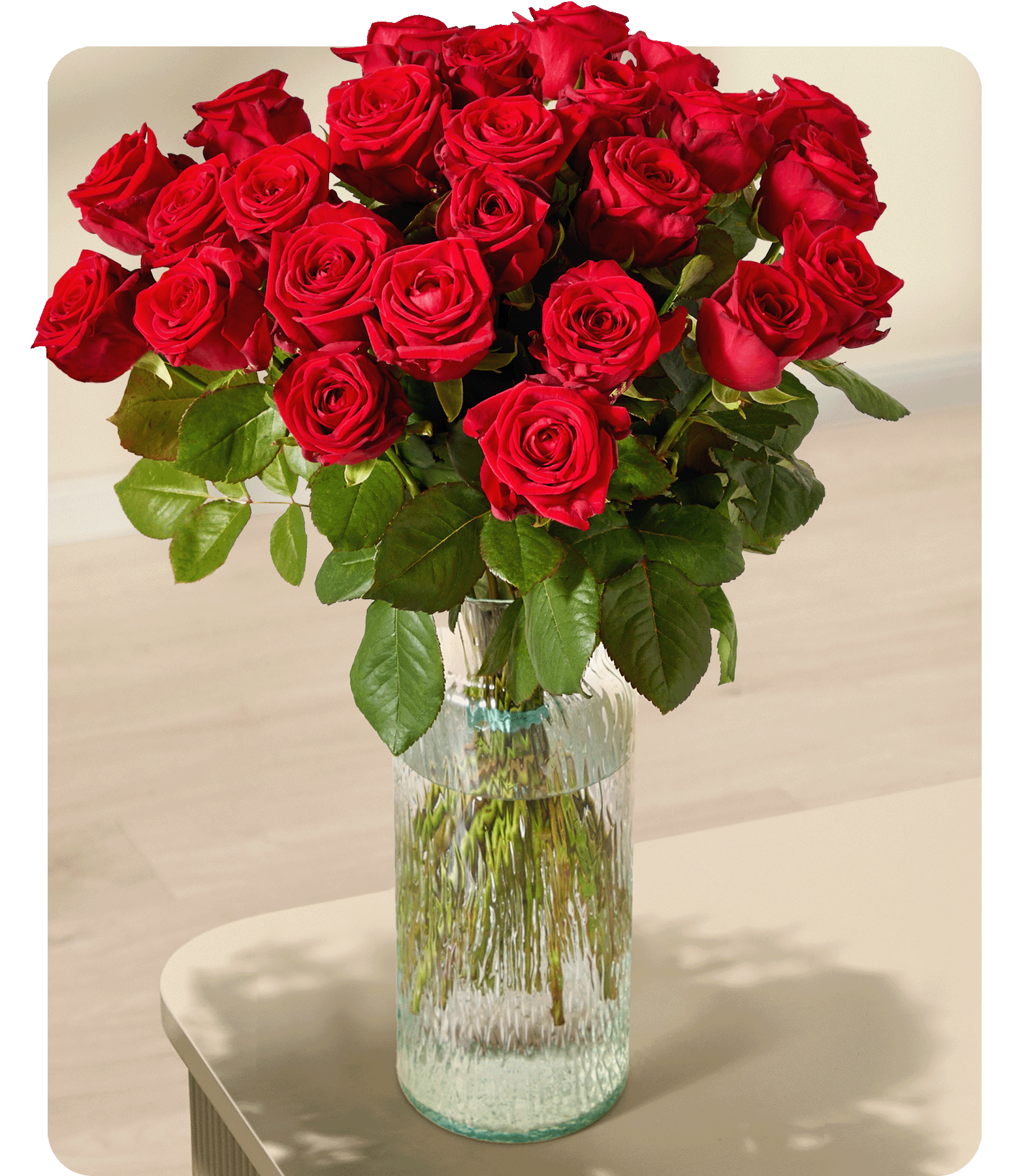 Rote Premium-Rosen - 25 Stiele