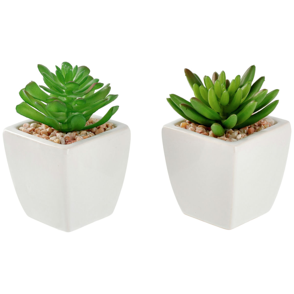 Kunstpflanzen-Set Afra; 5.5x11.5 cm (ØxH); weiß/grün