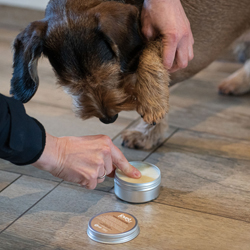 joveg Pfotensalbe WUNDer-Pflege, 80 g