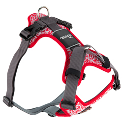HUNTER Hundegeschirr Divo Reflect rot/grau, Gr. XS, Breite: ca. 1,5 cm, Bauchumfang: ca. 34 - 47 cm, Halsumfang: ca. 19 - 32 cm