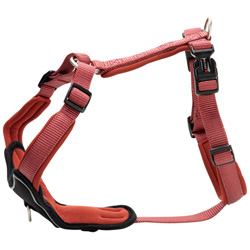 WOLTERS Hundegeschirr Professional Comfort rostrot, Gr. 2A, Breite: ca. 25 mm, Bauchumfang: ca. 45 - 50 cm