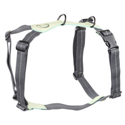 Cloud7® Hundegeschirr Madeira mint, Gr. M, Breite: ca. 2 cm, Brustumfang: ca. 50 - 74 cm, Halsumfang: ca. 31 - 52 cm