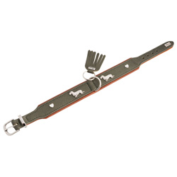 HUNTER Hundehalsband München grün/cognac, Gr. 32, Breite: ca. 2,6 cm, Halsumfang: ca. 24 - 27 cm