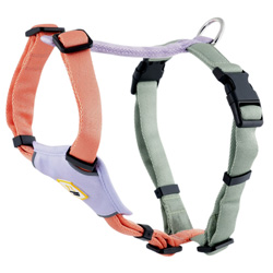 WOOLLY WOLF Hundegeschirr Explorer salmon pink, Gr. XS, Bauchumfang: ca. 42 – 56 cm, Halsumfang: ca. 31 – 42 cm