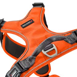WOLTERS Hundegeschirr Active Pro Comfort rot orange/anthrazit, Breite: ca. 2,5 cm, Brustumfang: ca. 55 - 65 cm
