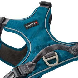 WOLTERS Hundegeschirr Active Pro Comfort petrol/anthrazit, Breite: ca. 2,5 cm, Brustumfang: ca. 55 - 65 cm