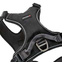 WOLTERS Hundegeschirr Active Pro Comfort schwarz/anthrazit, Breite: ca. 1,5 cm, Brustumfang: ca. 45 - 52 cm