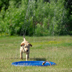 Hunde Wasserspielzeug Splash Pool Water Sprinkler blau, Höhe: ca. 10 cm, Durchmesser: ca. 100 cm