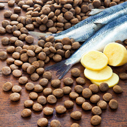 alsa-nature Hering & Kartoffel getreidefrei Trockenfutter, 2 x 12 kg, Hundefutter trocken