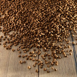 alsa-nature Sensitiv Pferd & Kartoffel getreidefrei Trockenfutter, 2 x 12 kg, Hundefutter trocken