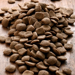 alsa-nature Vital Trockenfutter, 2 x 12 kg, Hundefutter trocken