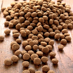 alsa-nature Senso Medial Protein Trockenfutter, 2 x 12 kg, Hundefutter trocken