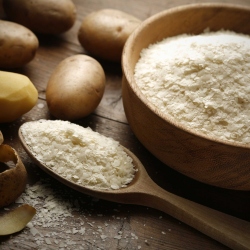 alsa-nature Kartoffel-Flocke Schonkost, 1 kg, Hundefutter