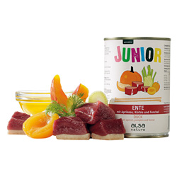 alsa-nature JUNIOR Ente mit Aprikose, Kürbis & Fenchel, Anzahl: 400 g, 400 g, Hundefutter nass