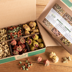 alsa-nature Jubiläums Knabber-Selection Jubiläums-Kekse, Hundefutter