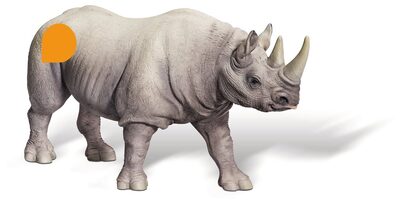 RAVENSBURGER 000366 tiptoi® Spitzmaulnashorn-Bulle