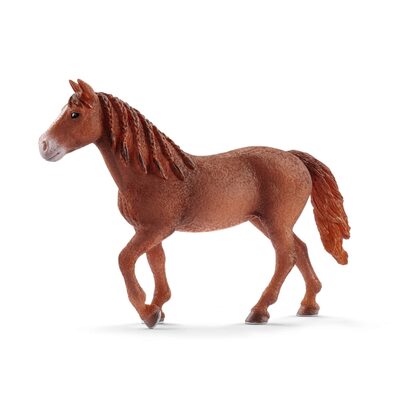 SCHLEICH 13870 Morgan Horse Stute