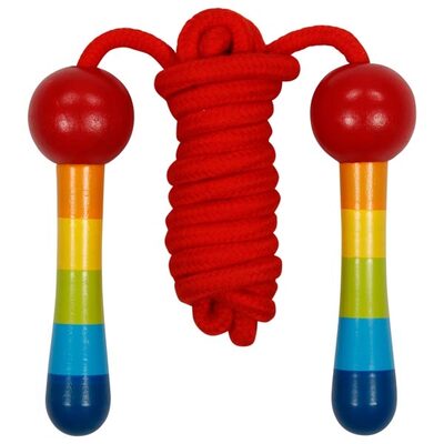 GOKI 63887 Springseil Regenbogen
