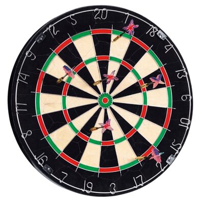 idee+spiel 721-72107 VIVA SPoRT Bristle Dartscheibe