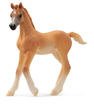 SCHLEICH 13984 HORSE CLUB Araber Fohlen
