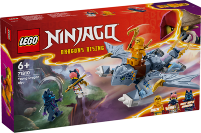 LEGO® NINJAGO 71810 Riyu der Babydrache