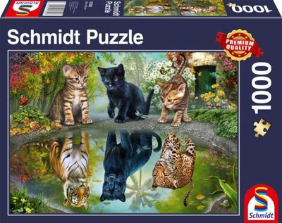 SCHMIDT SPIELE 57392 PUZZLE 1000 Teile - Dream Big!