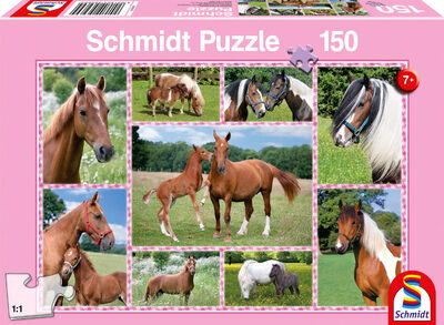 SCHMIDT SPIELE 56269 Pferdeträume, 150 Teile