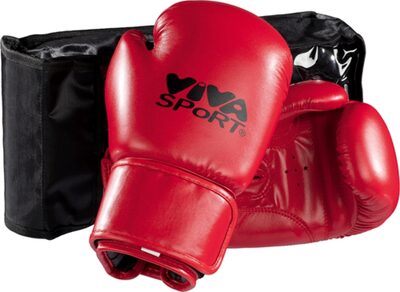 idee+spiel 733-14108 VIVA SPoRT Premium Boxhandschuhe