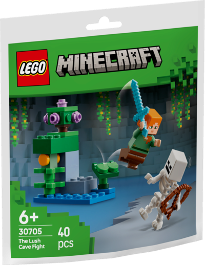 LEGO® Minecraft 30705 Showdown in der Üppigen Höhle