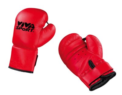 idee+spiel 733-73308 VIVA SPoRT Boxhandschuhe
