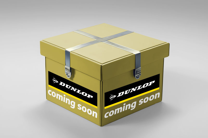 Dunlop Airsuspension Luftfeder, Fahrwerk 77455 hinten links für PORSCHE 95B616001E 95B616001D 95B616001C