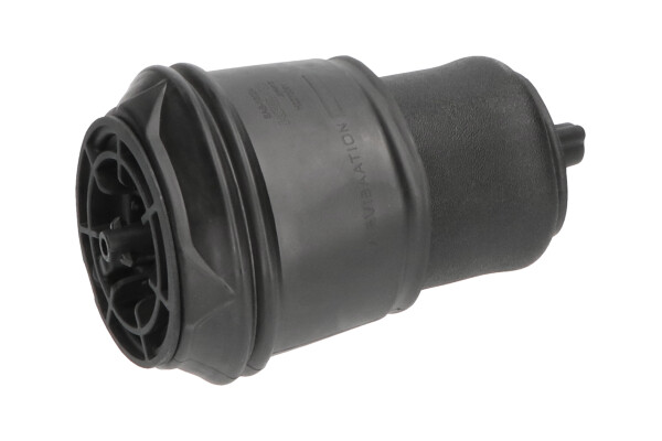 KAVO PARTS Luftfeder, Fahrwerk sas10024 Hinterachse für Peugeot Fiat