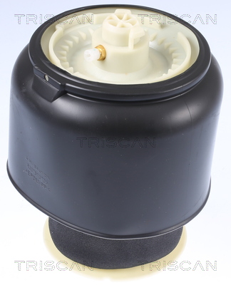 TRISCAN Luftfeder, Fahrwerk hinten rechts links für BMW 37106781843 37106781844 37106784381 8720 11201