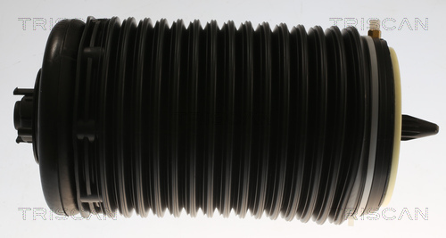 TRISCAN Luftfeder, Fahrwerk hinten rechts für AUDI 4G0616002K 4G0616002Q 4G0616002B 8720 29204